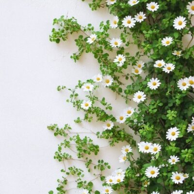 Tử tế khi đặt câu hỏi/yêu cầu