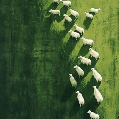 Chẳng có gì đi sai hướng cả