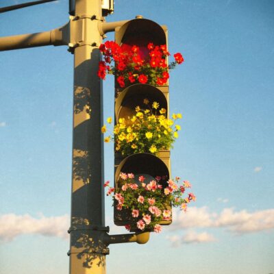 Cuộc đời sẽ cho bạn cơ hội để bạn hiển lộ điều bạn nói bạn là