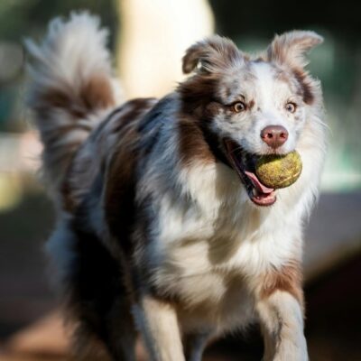 Là Mình ngay bây giờ