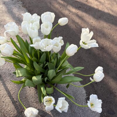 Những khó khăn bạn đang đối diện từng là điều bạn cầu nguyện để có.